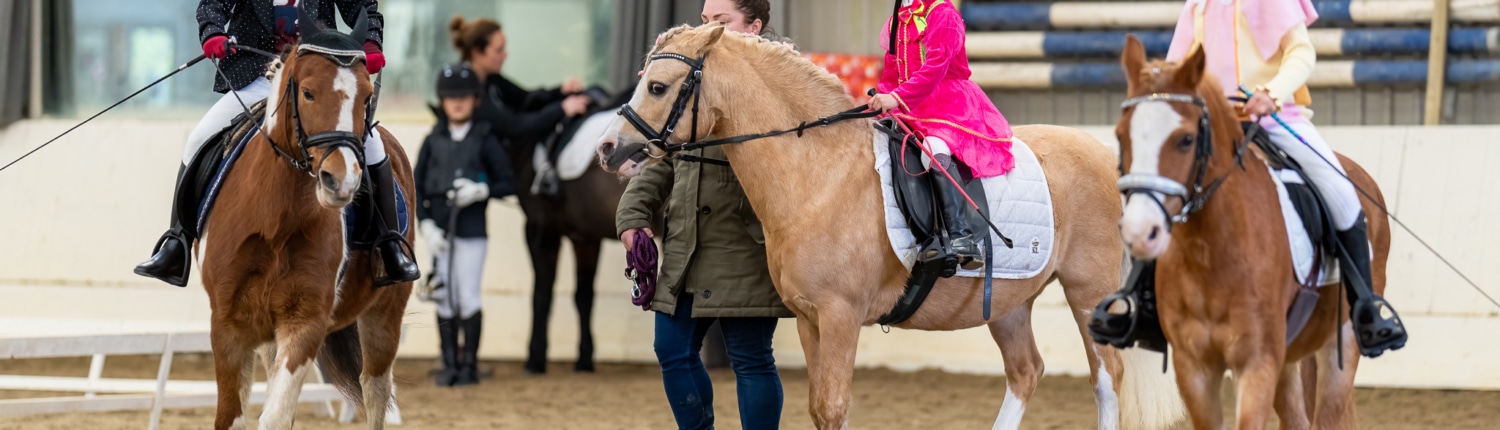 2024_sinterklaas_BIXIE_RVR